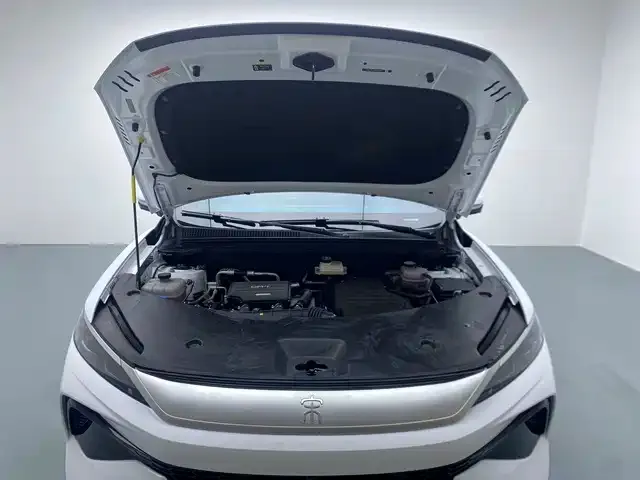 BYD Pro New Energy — фото 2
