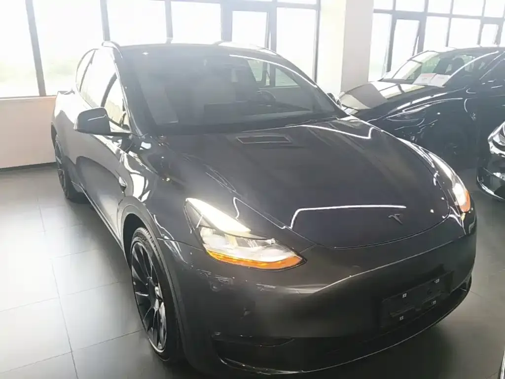 Tesla Model Y — фото 2