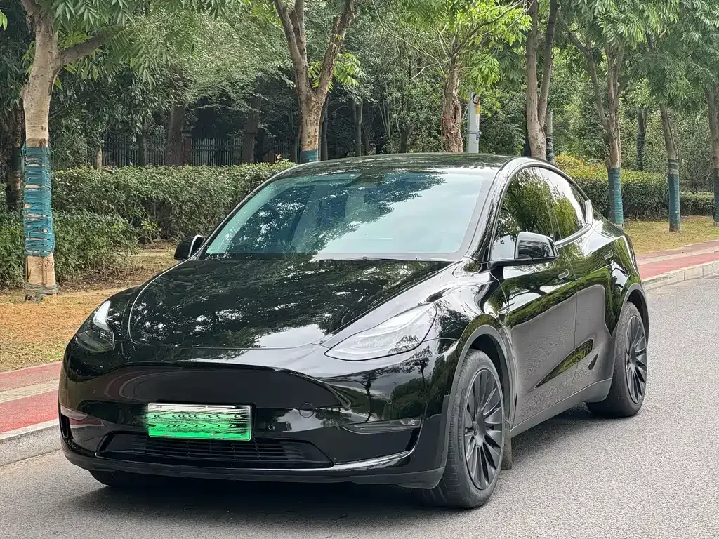 Tesla Model Y — фото 1