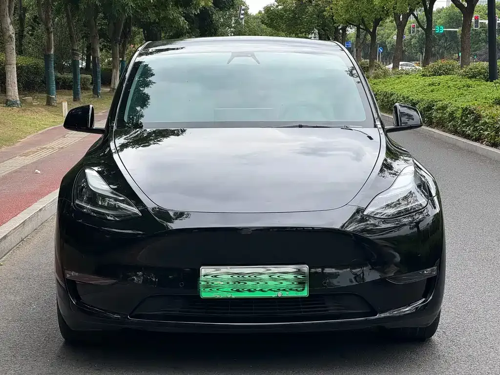 Tesla Model Y — фото 9