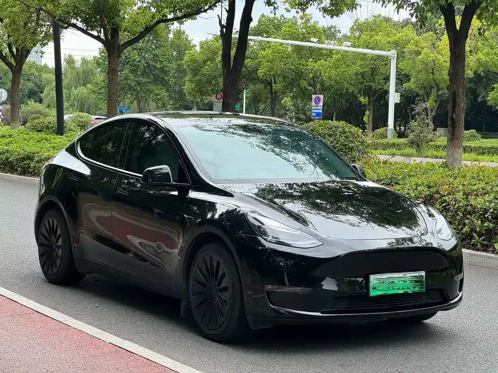 Tesla Model Y — фото 10