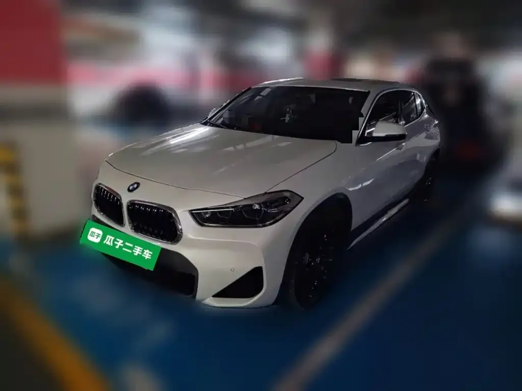 BMW X2 — фото 1