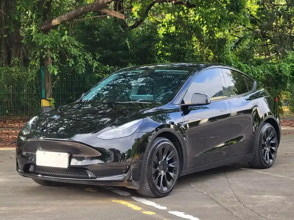 Tesla Model Y — фото 1