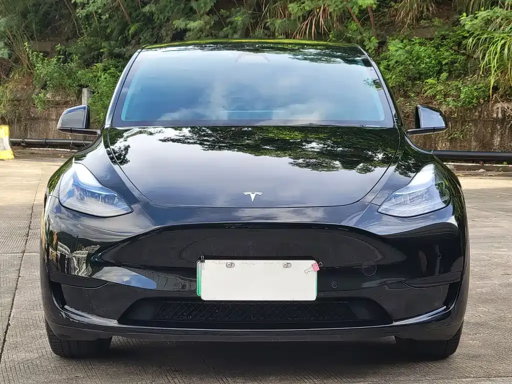 Tesla Model Y — фото 10