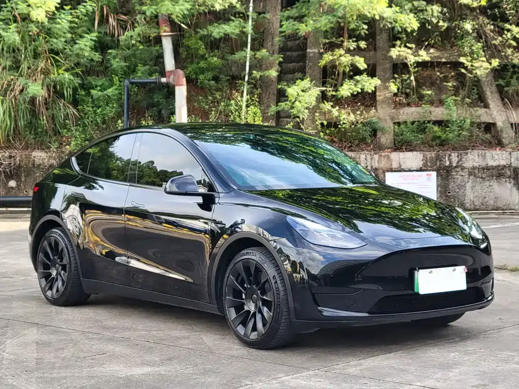 Tesla Model Y — фото 7