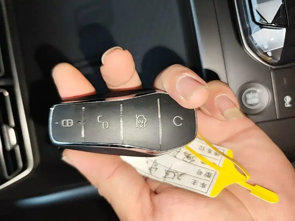 BYD Pro New Energy — фото 4