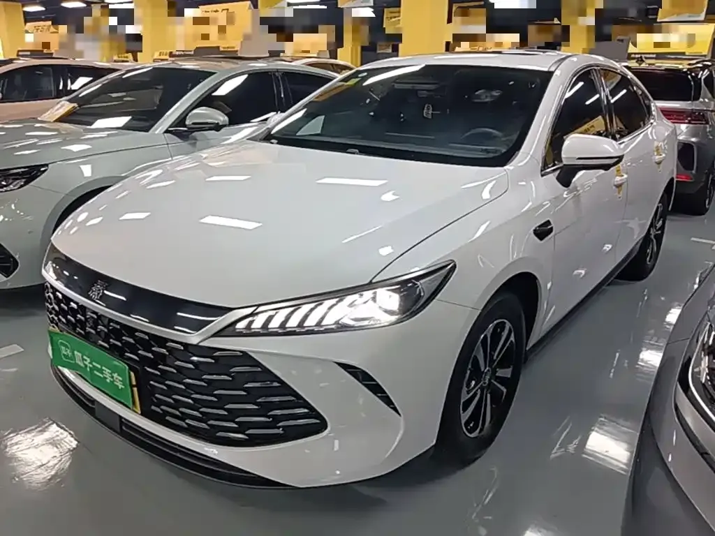 BYD Qin PLUS — фото 8