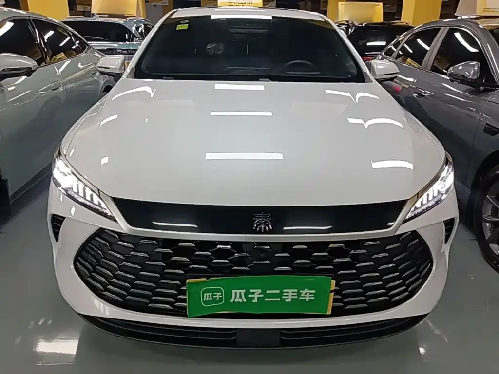 BYD Qin PLUS — фото 10