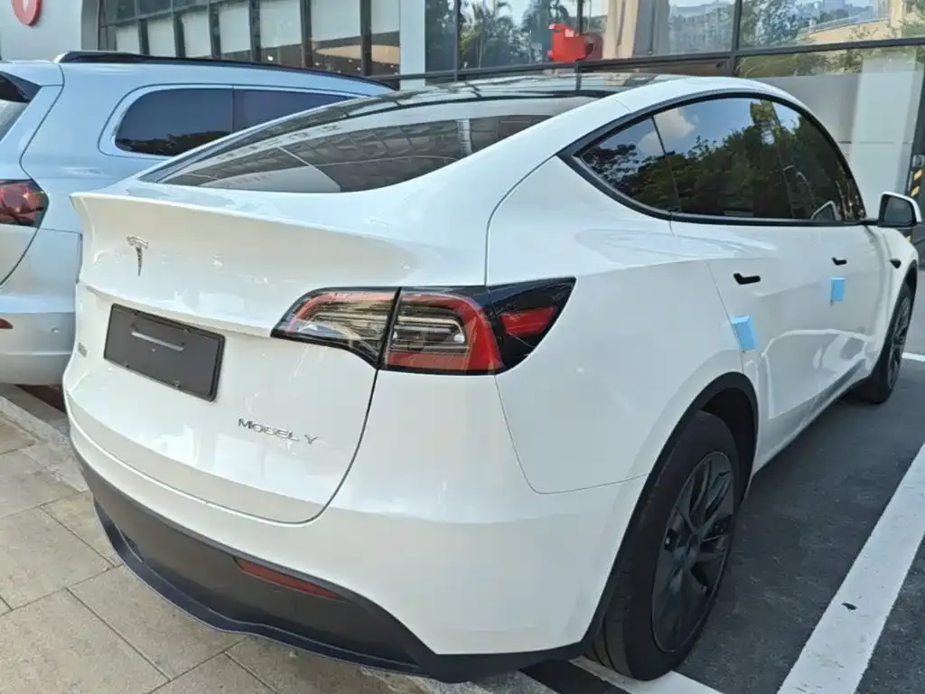 Tesla Model Y — фото 10