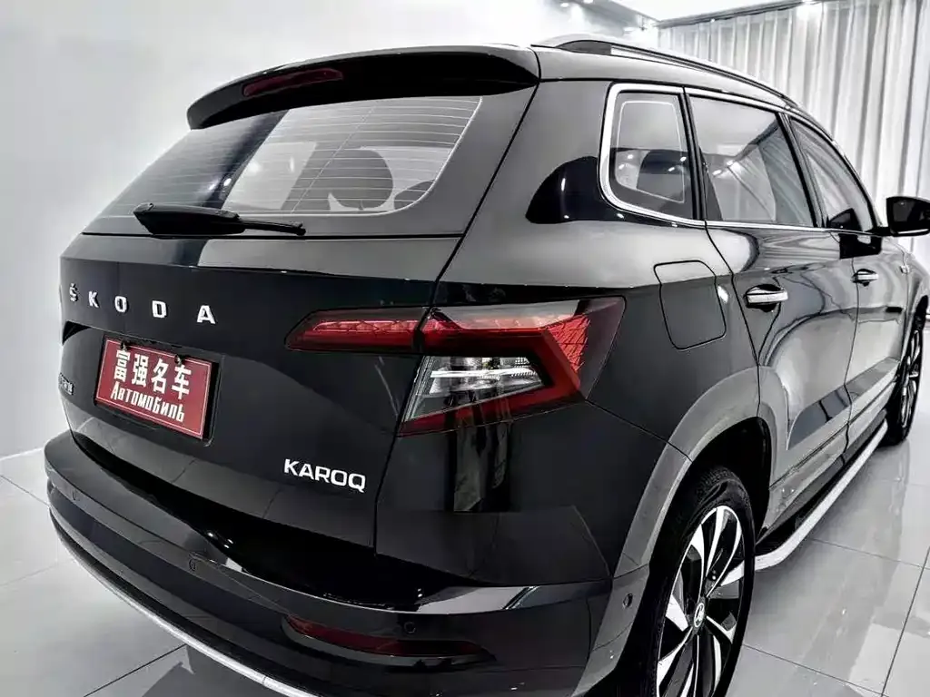 Skoda Karoq — фото 8