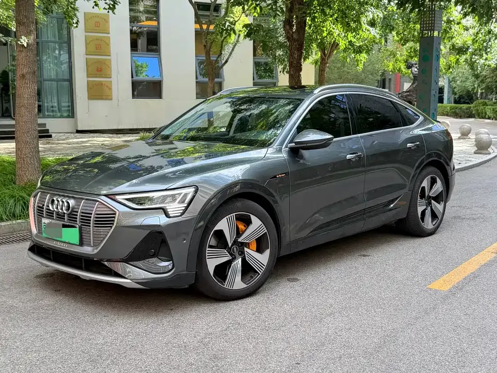 Audi e-tron (Import) — фото 1