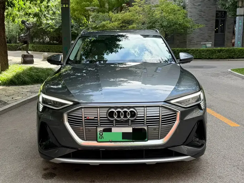 Audi e-tron (Import) — фото 9