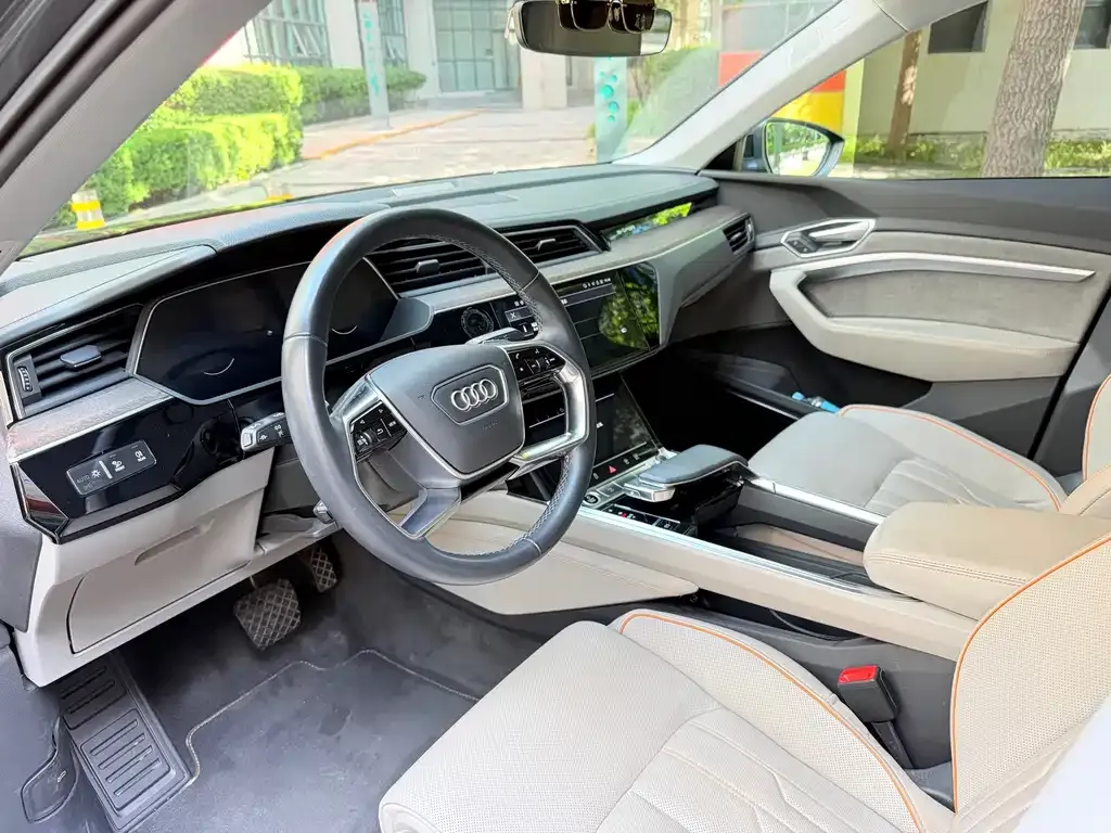 Audi e-tron (Import) — фото 5