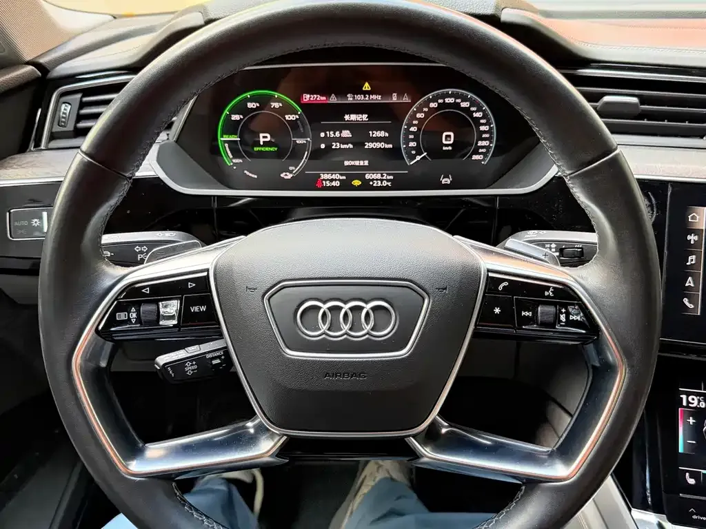 Audi e-tron (Import) — фото 8