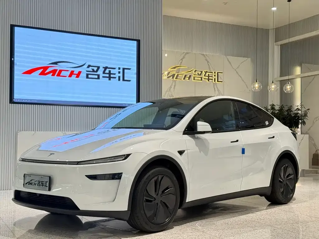 Tesla Model Y — фото 1