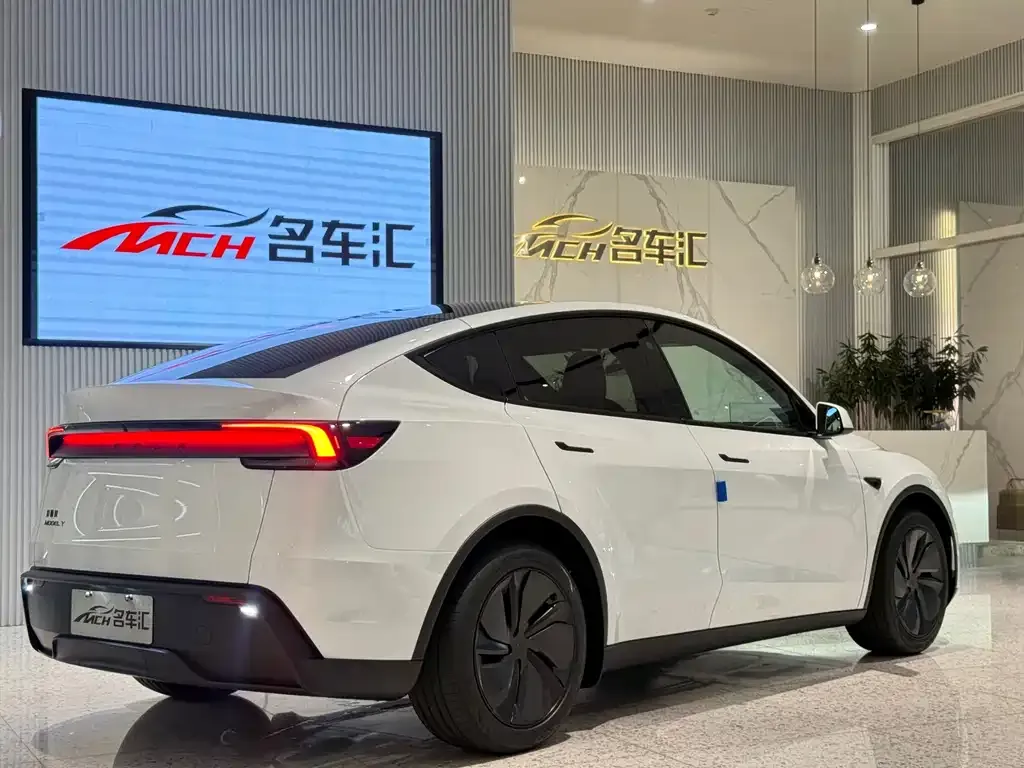 Tesla Model Y — фото 3
