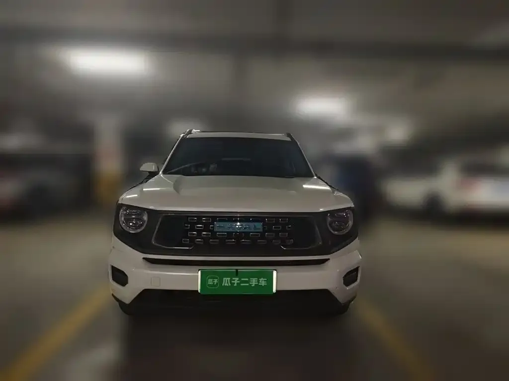 Haval Big Dog PLUS New Energy — фото 8
