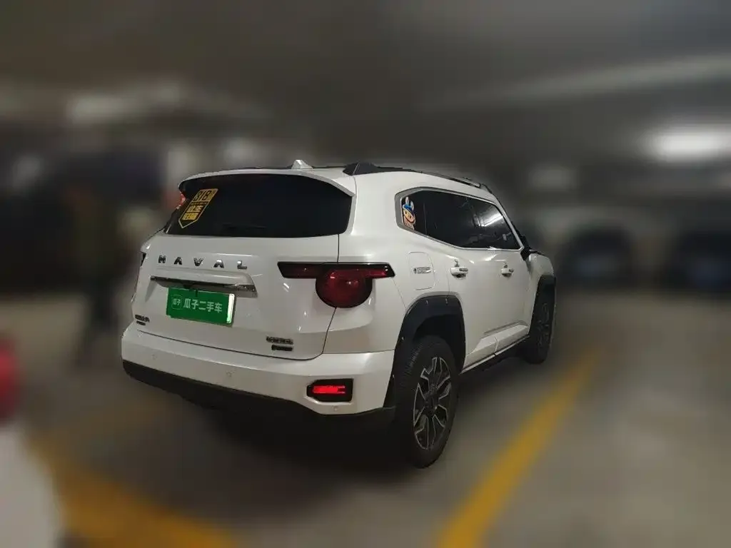 Haval Big Dog PLUS New Energy — фото 7