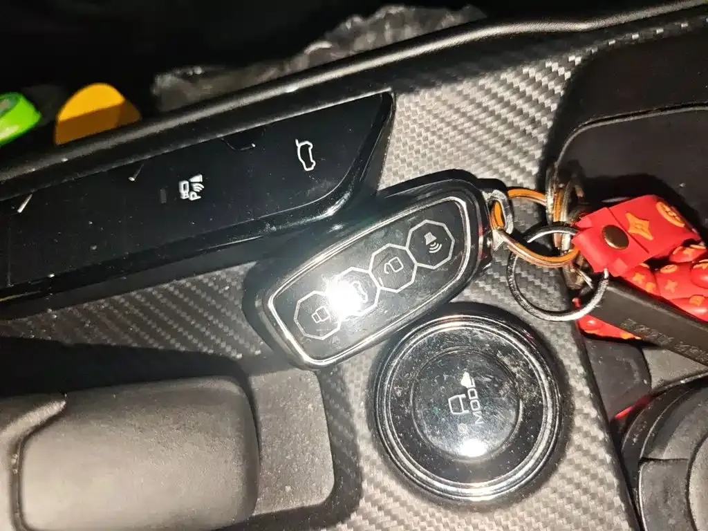 Haval Big Dog PLUS New Energy — фото 10