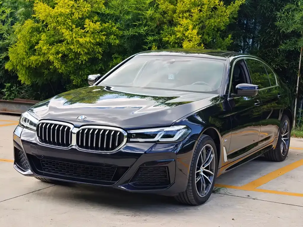 BMW 5 Series — фото 1