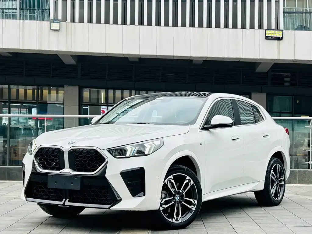 BMW X2 — фото 1