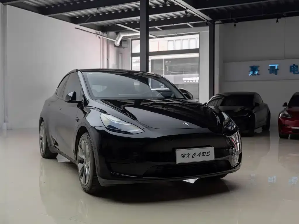 Tesla Model Y — фото 7