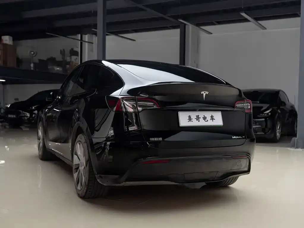 Tesla Model Y — фото 2
