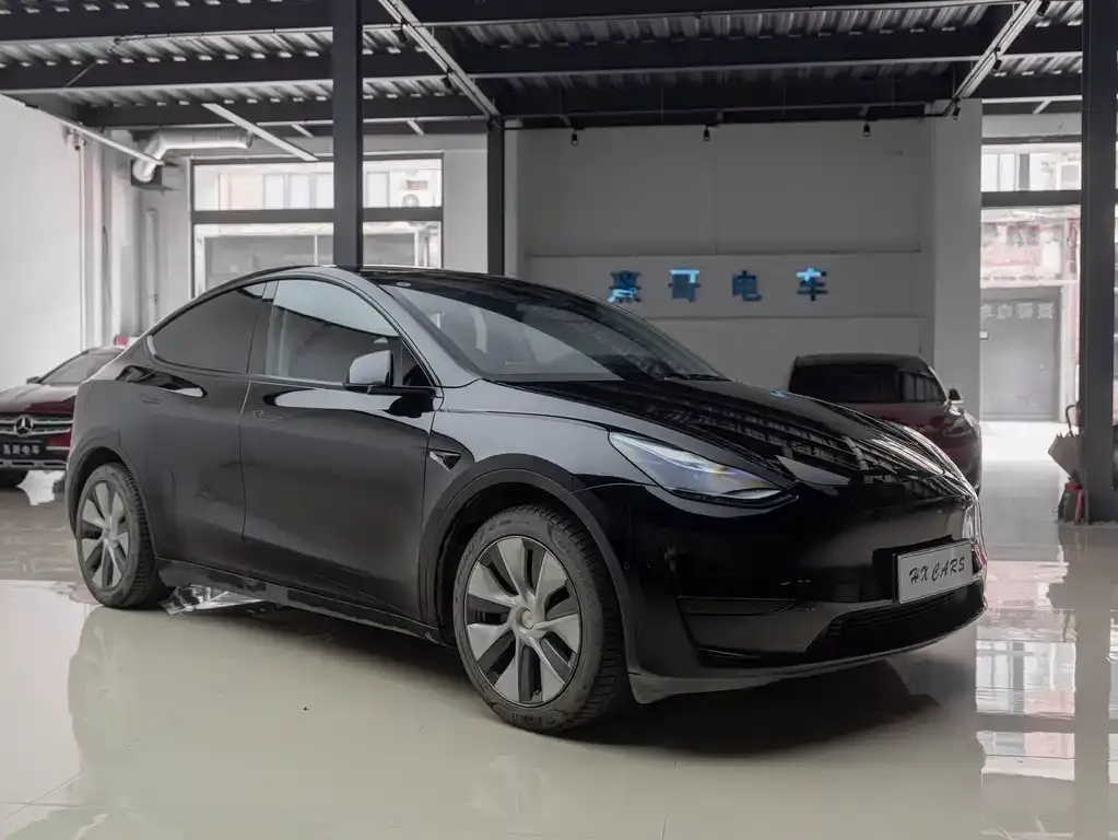 Tesla Model Y — фото 5