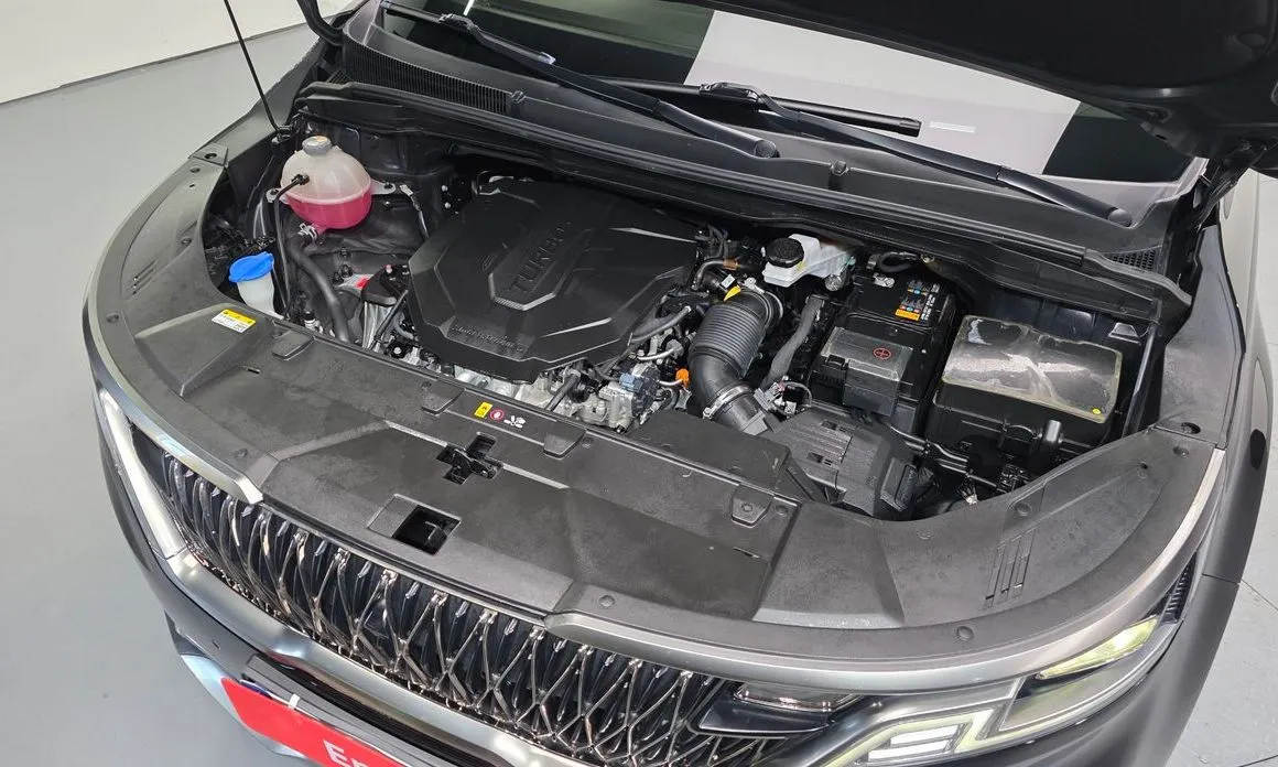 Kia Carnival — фото 10