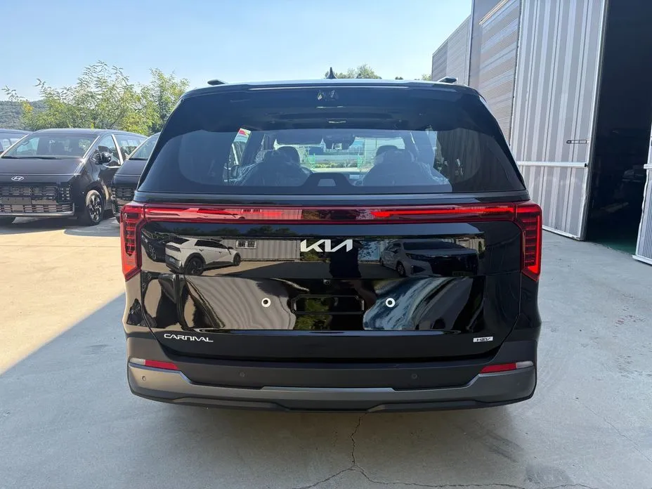 Kia Carnival — фото 10