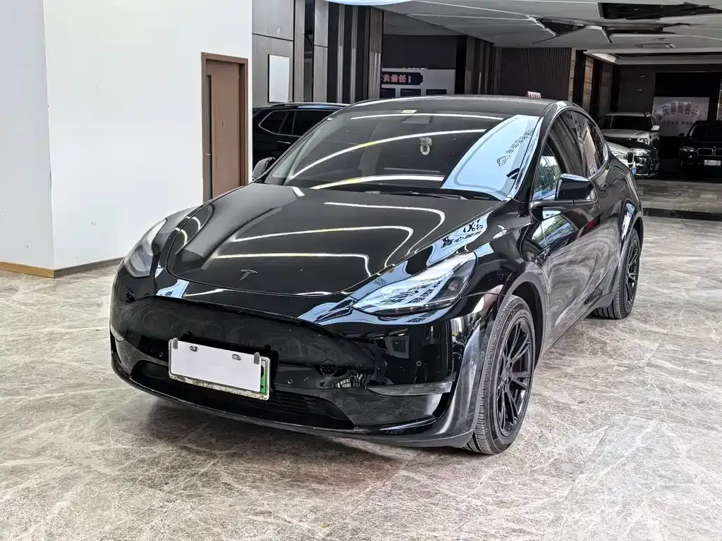 Tesla Model Y — фото 1