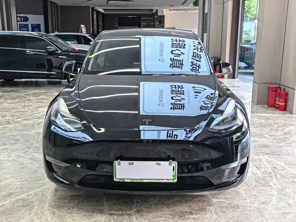 Tesla Model Y — фото 9