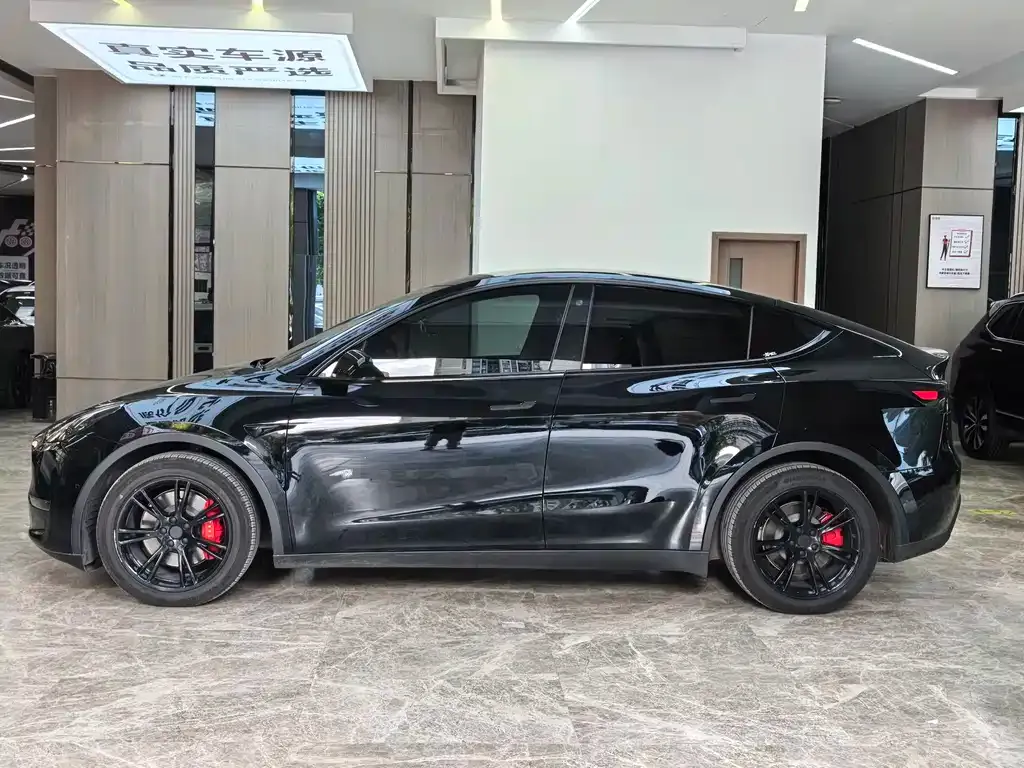 Tesla Model Y — фото 2