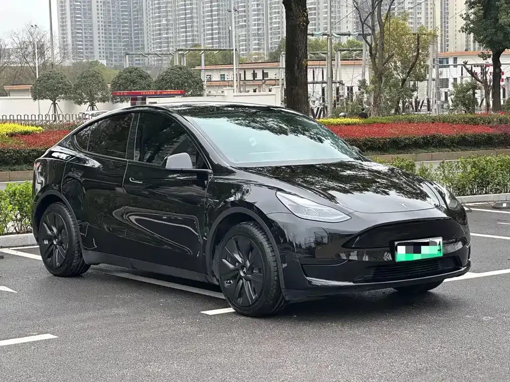 Tesla Model Y — фото 5