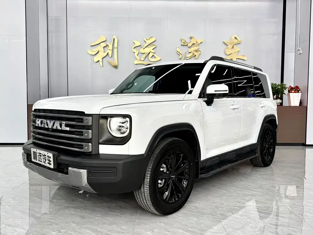 Haval Menglong New Energy — фото 1