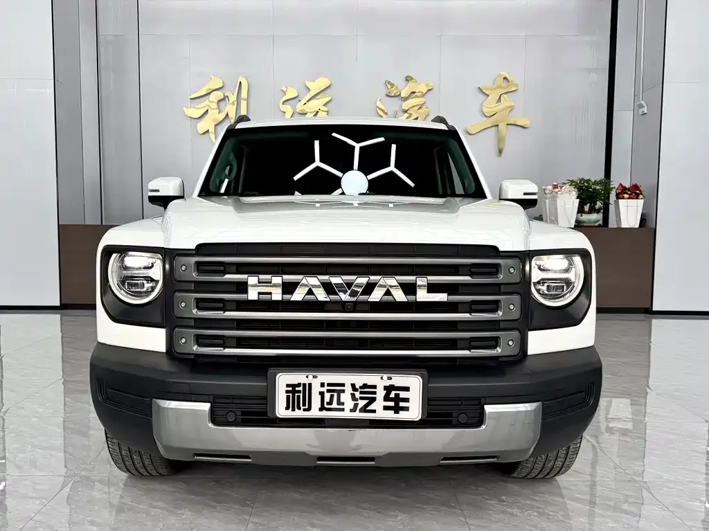 Haval Menglong New Energy — фото 4
