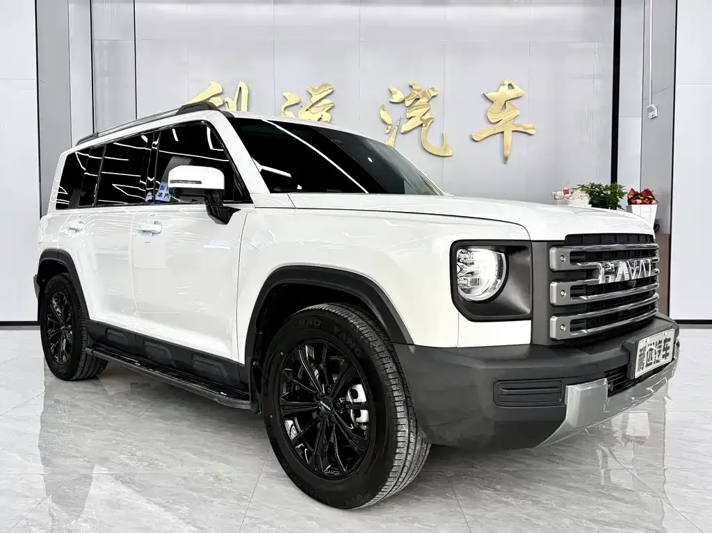 Haval Menglong New Energy — фото 7