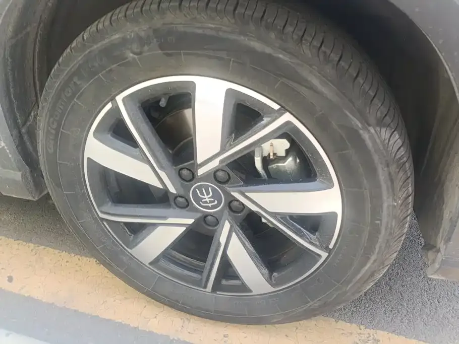 BYD Pro New Energy — фото 3