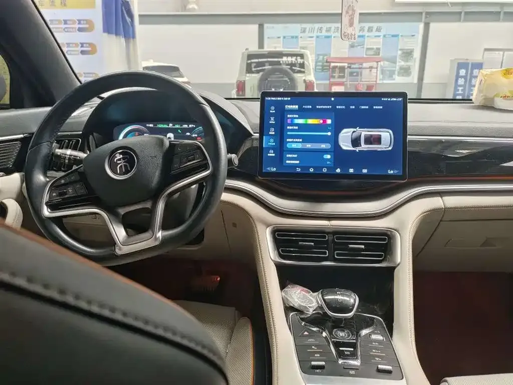 BYD PLUS New Energy — фото 10