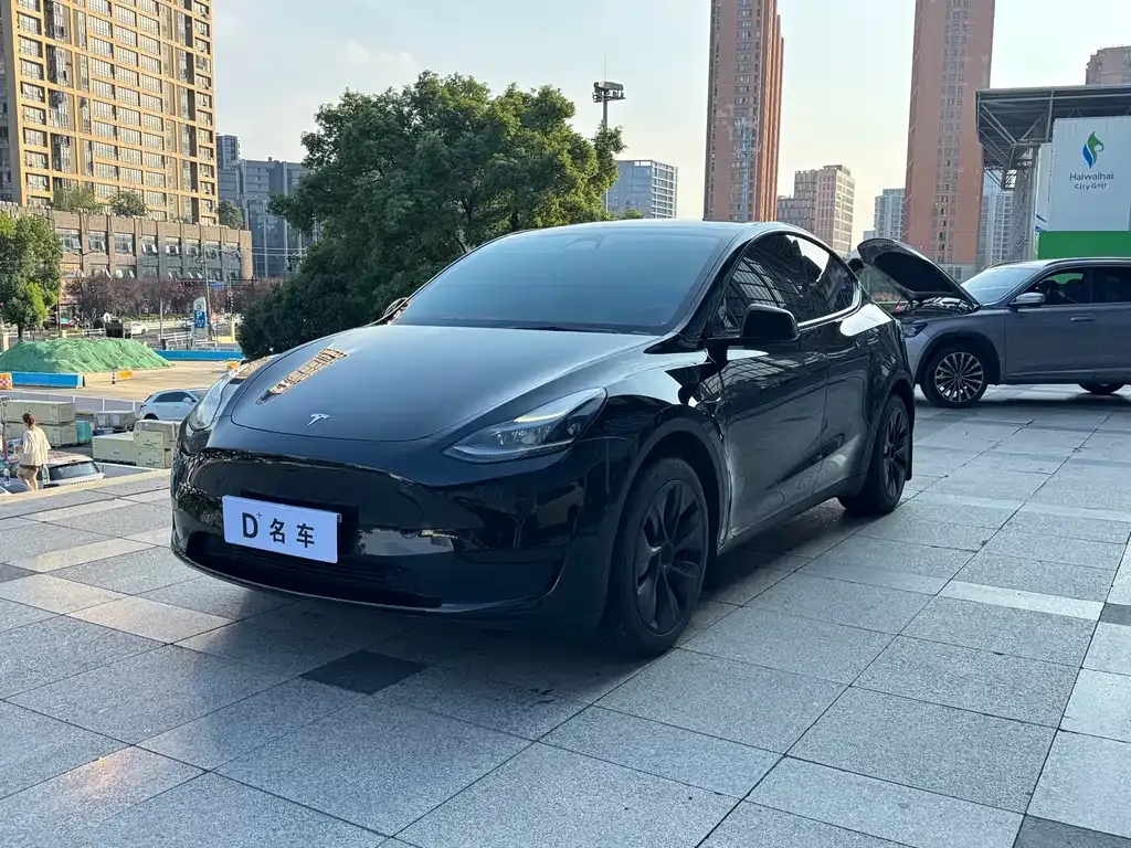 Tesla Model Y — фото 1