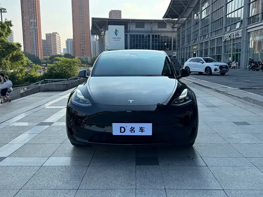 Tesla Model Y — фото 2