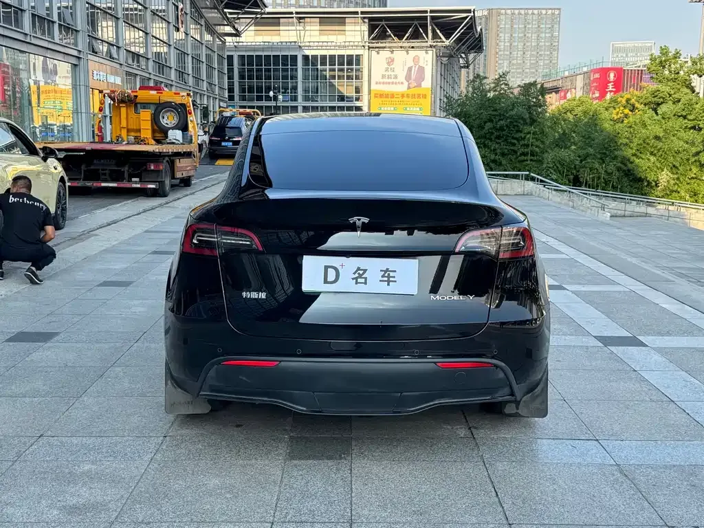 Tesla Model Y — фото 9