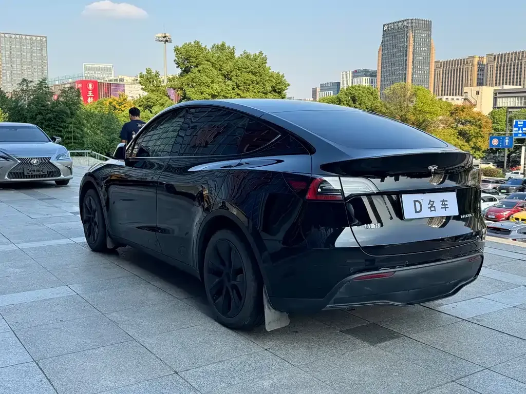 Tesla Model Y — фото 6