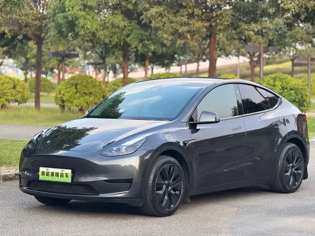 Tesla Model Y — фото 1