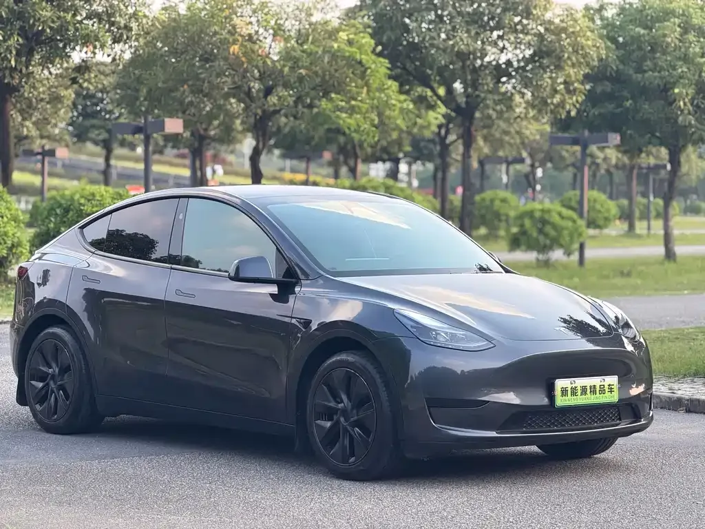 Tesla Model Y — фото 3