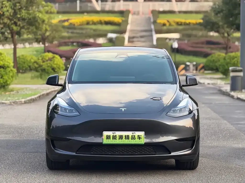 Tesla Model Y — фото 10