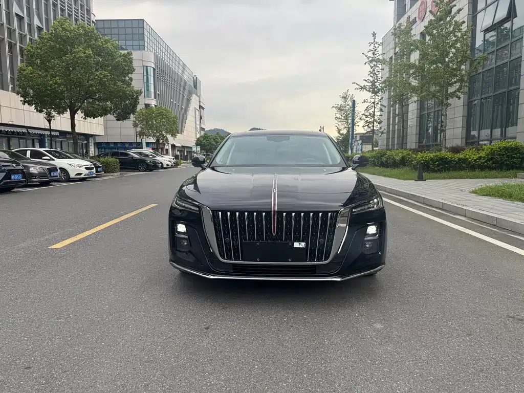 Hongqi H5 — фото 10