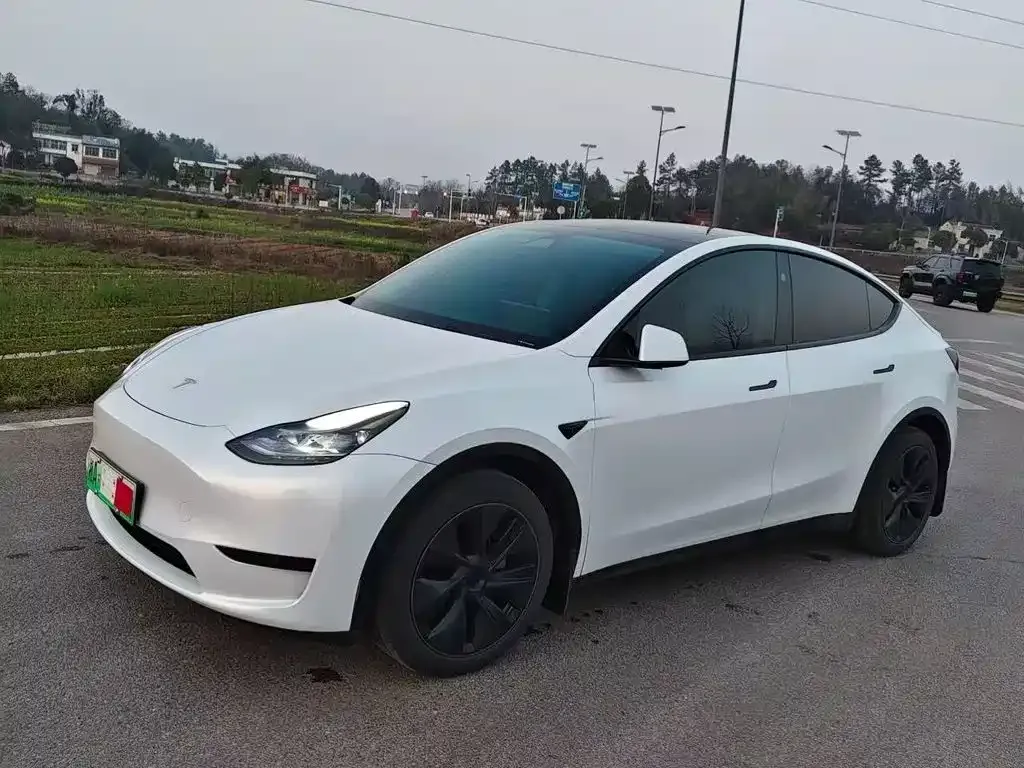 Tesla Model Y — фото 1