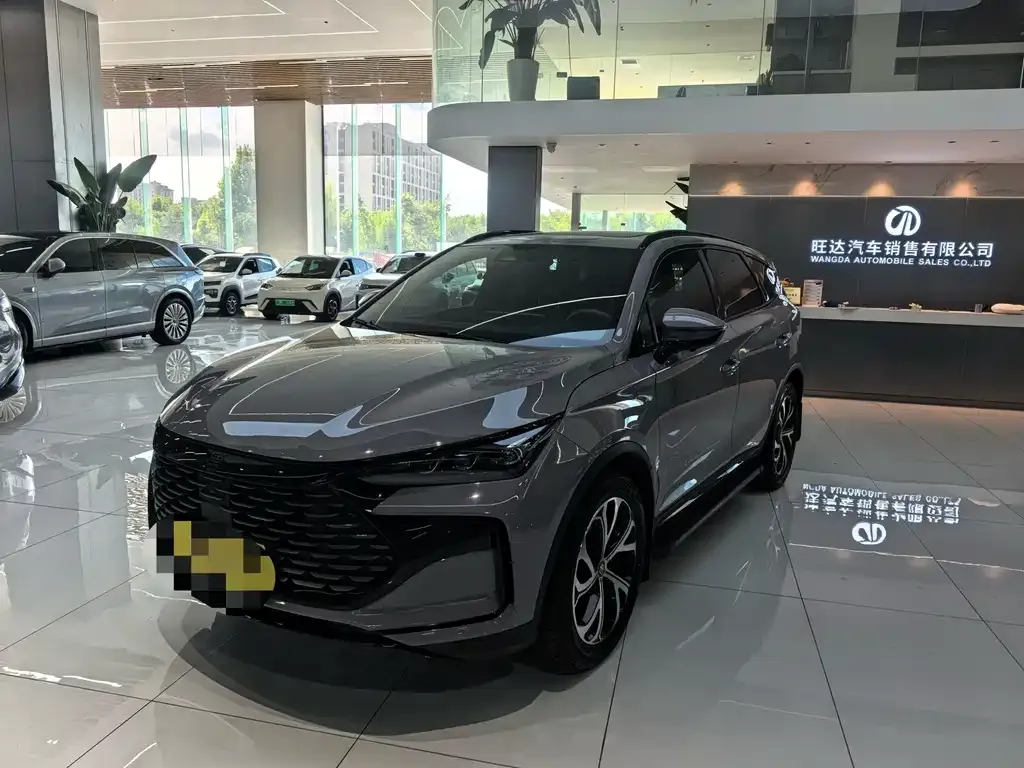 BYD Tang New Energy — фото 1