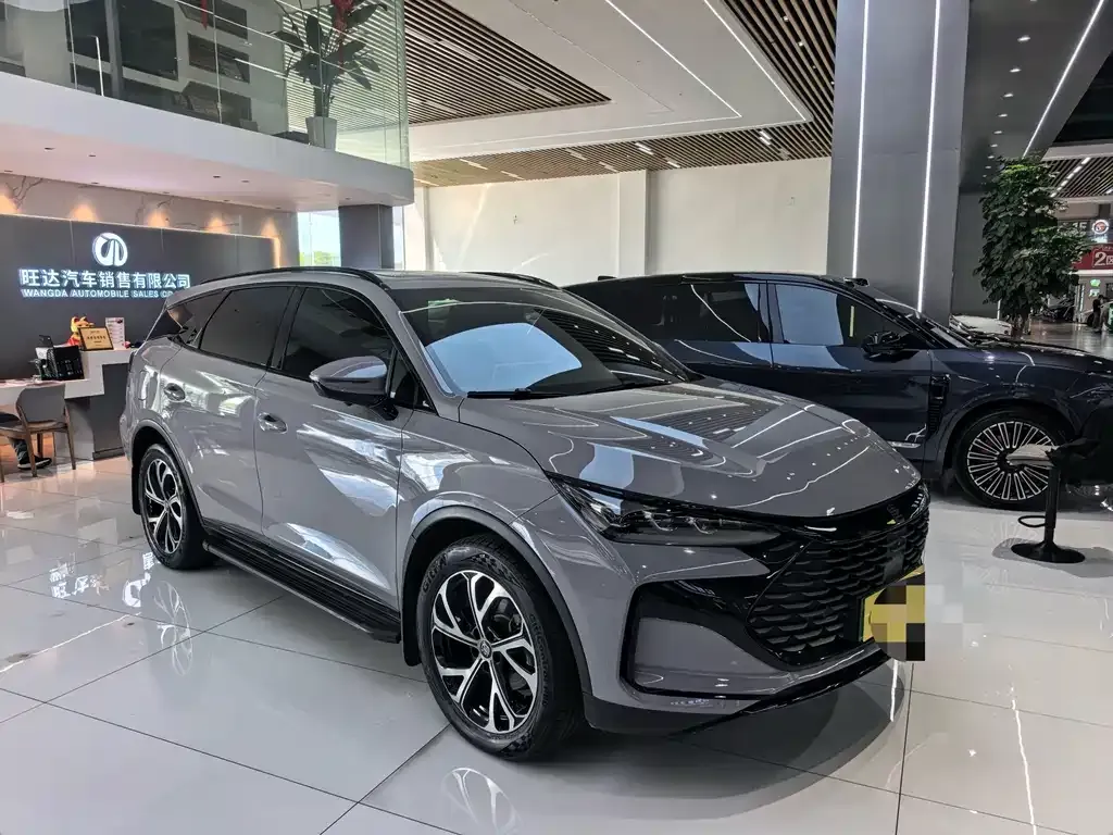 BYD Tang New Energy — фото 10